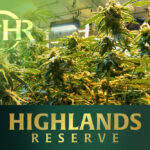 Cannabis Cultivation riverside ca