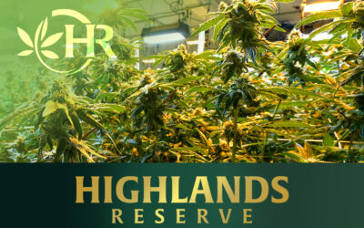 Highlands Reserve Takes Cannabis Cultivation to the Next Level