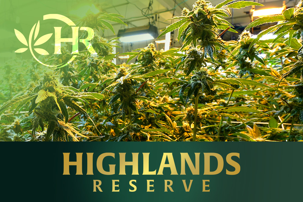 Cannabis Cultivation riverside ca