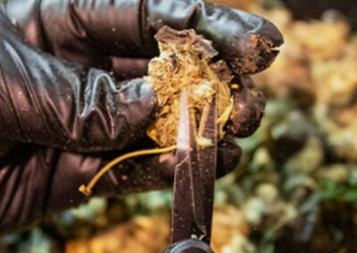 highlands reserve dispensary premium cultivated produce