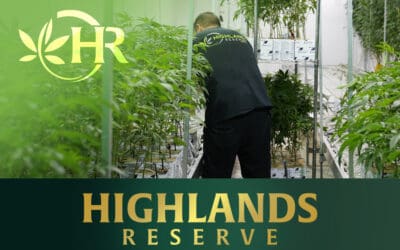 Why Menifee Residents Choose Highlands Reserve in Perris