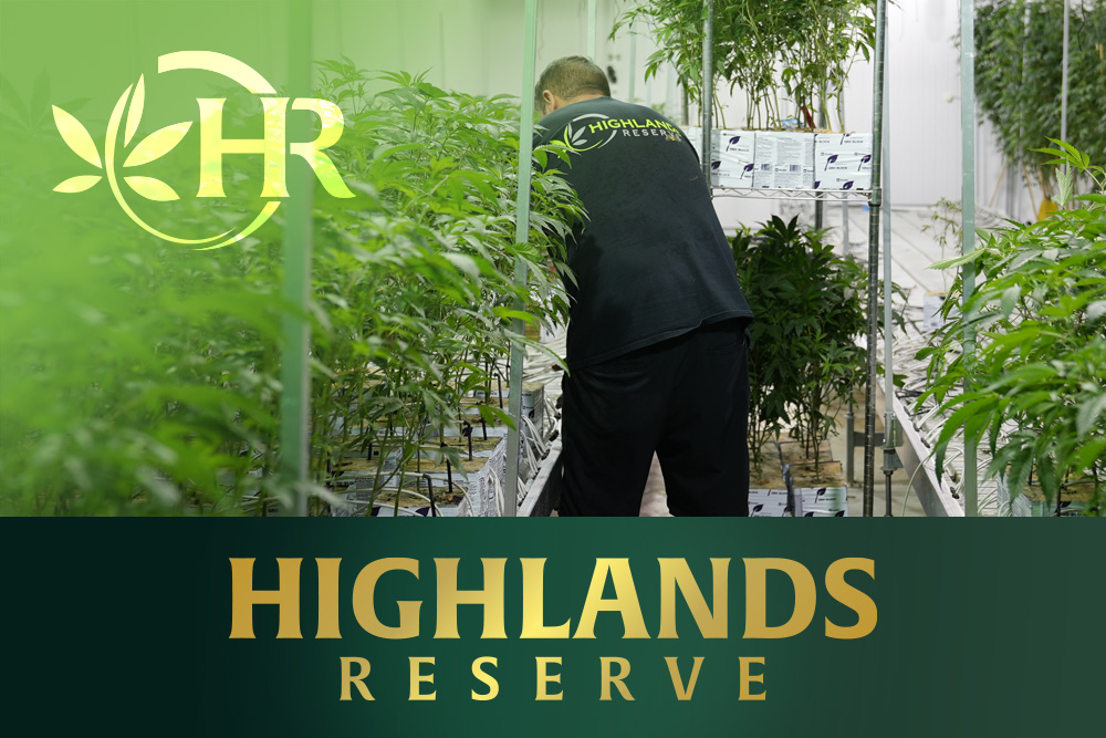 Why Menifee Residents Choose Highlands Reserve in Perris