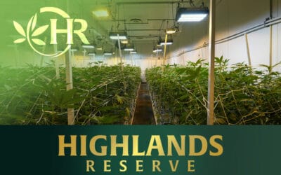 Highest Quality Best Priced Dispensary in Perris CA – Grown Onsite