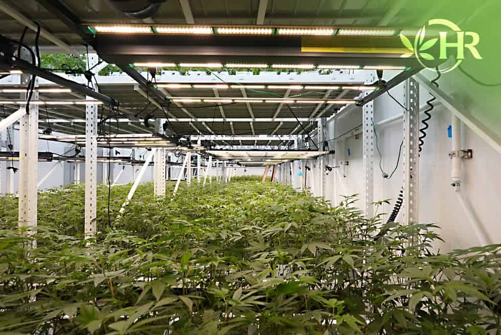 highlands reserve dispensary indoor cultivation