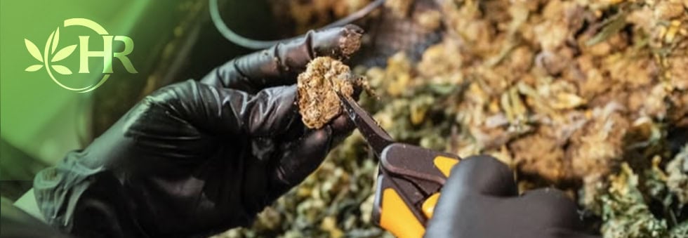 highlands reserve dispensary serving perris and surrounding areas